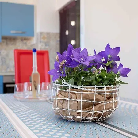 In - Insel Krk 13616 * Vrbnik (Primorje-Gorski Kotar)